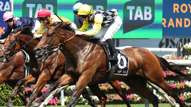 SYDNEY, AUSTRALIA - MARCH 01: James McDonald riding Spring Lee win Race 3 Asahi Super Dry during Sydney Racing at Royal Randwick Racecourse on March 01, 2025 in Sydney, Australia. (Photo by Jeremy Ng/Getty Images)