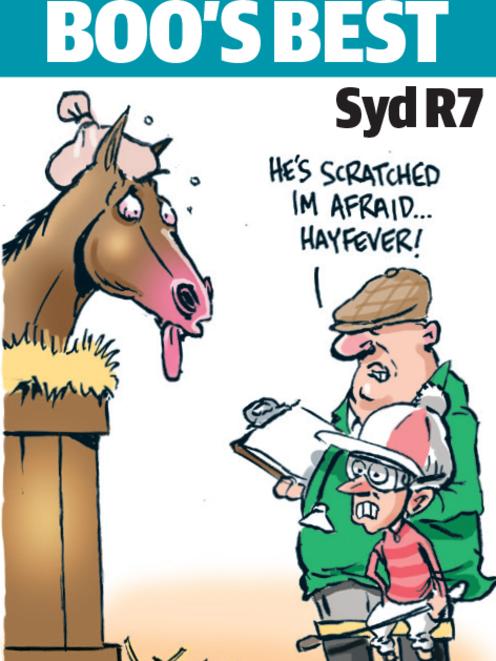Boo Bailey's cartoon tip for Rosehill
