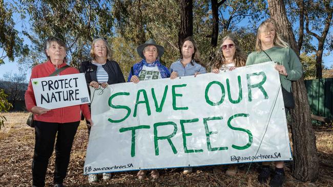 Marion Council voted in favour of selling Chestnut Court Reserve to Tesla so it could build a factory. Picture: Ben Clark