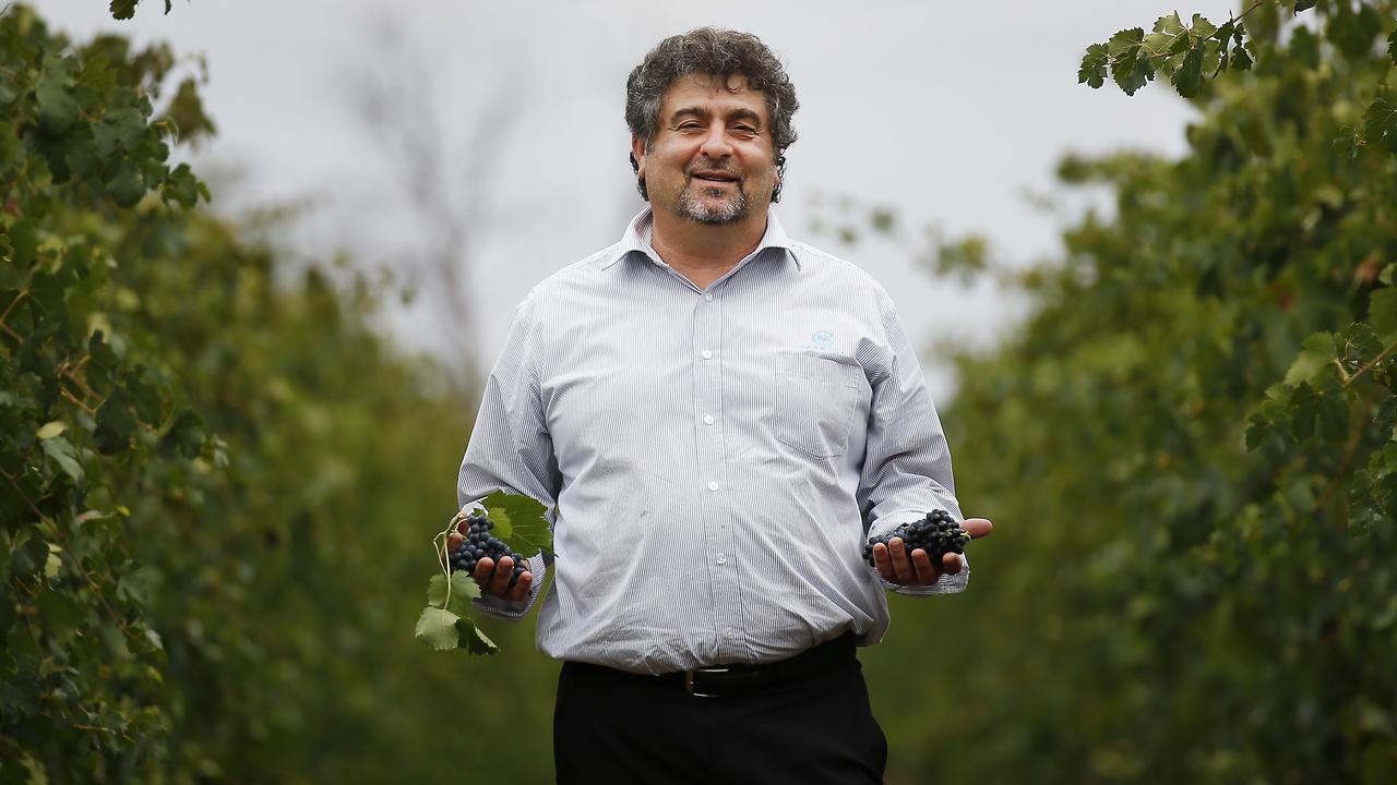 John Casella in his vineyard at Casella Wines in Griffith.