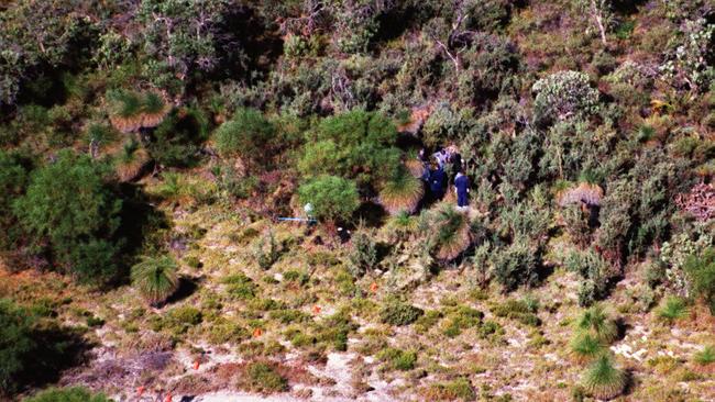 The bush track where the body of Ciara Glennon was found.