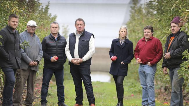 A coalition of agricultural businesses in the Adelaide Hills fought for years against the mine’s approval. Picture: Dean Martin