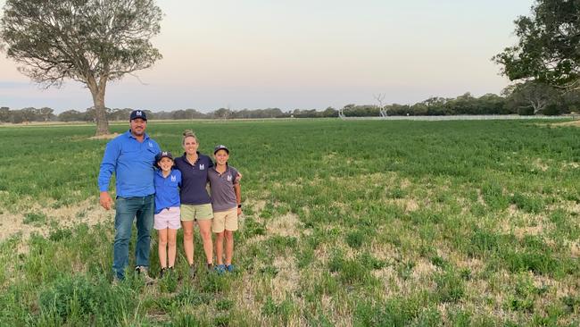 There they run 5500 Merino ewes to produce 6000 to 6500 first-cross prime lambs a year, grow pasture for hay and silage and run 250 Shorthorn and Shorthorn-Angus breeding cows.