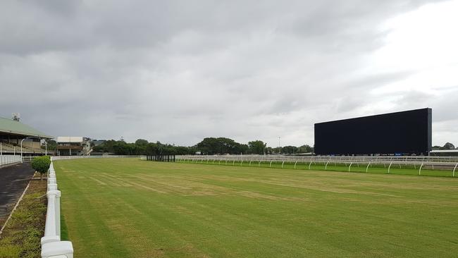 New turf on the Eagle Farm course after the previous chosen grass was found to be shifty and not desirable for thoroughbred horse racing. Picture: Nathan Exelby