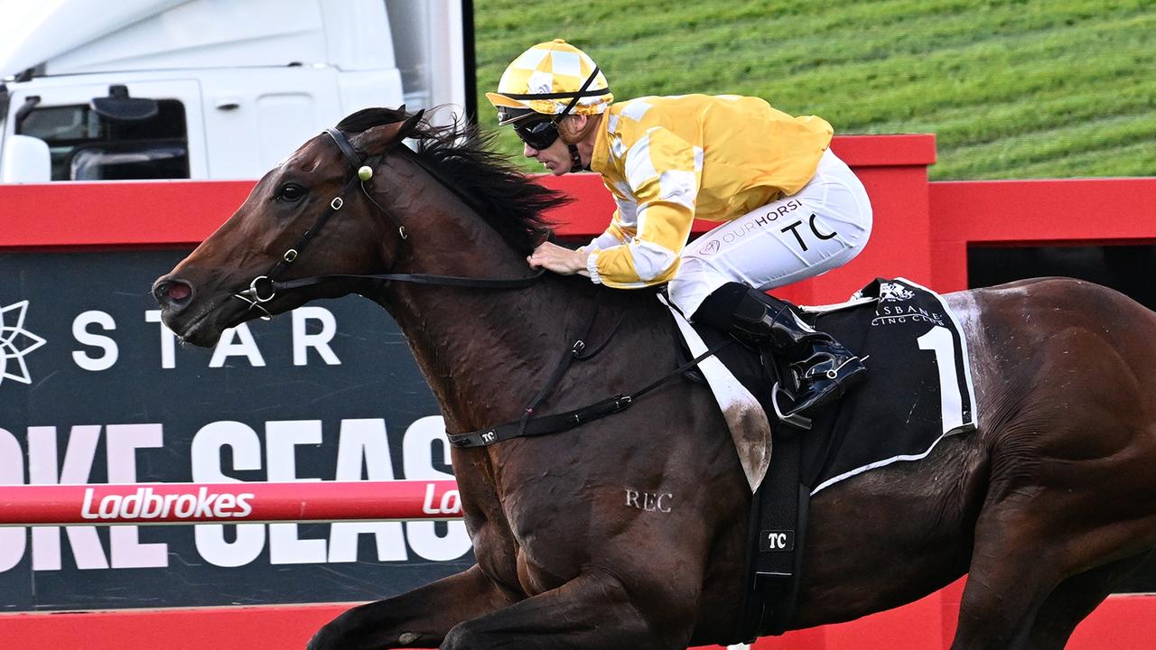 Gai’s $2.7m import shows he is up for Melbourne Cup