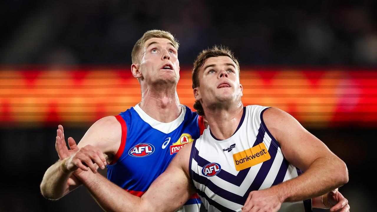 Sean Darcy (right) has been linked with Geelong. (Photo by Dylan Burns/AFL Photos via Getty Images)