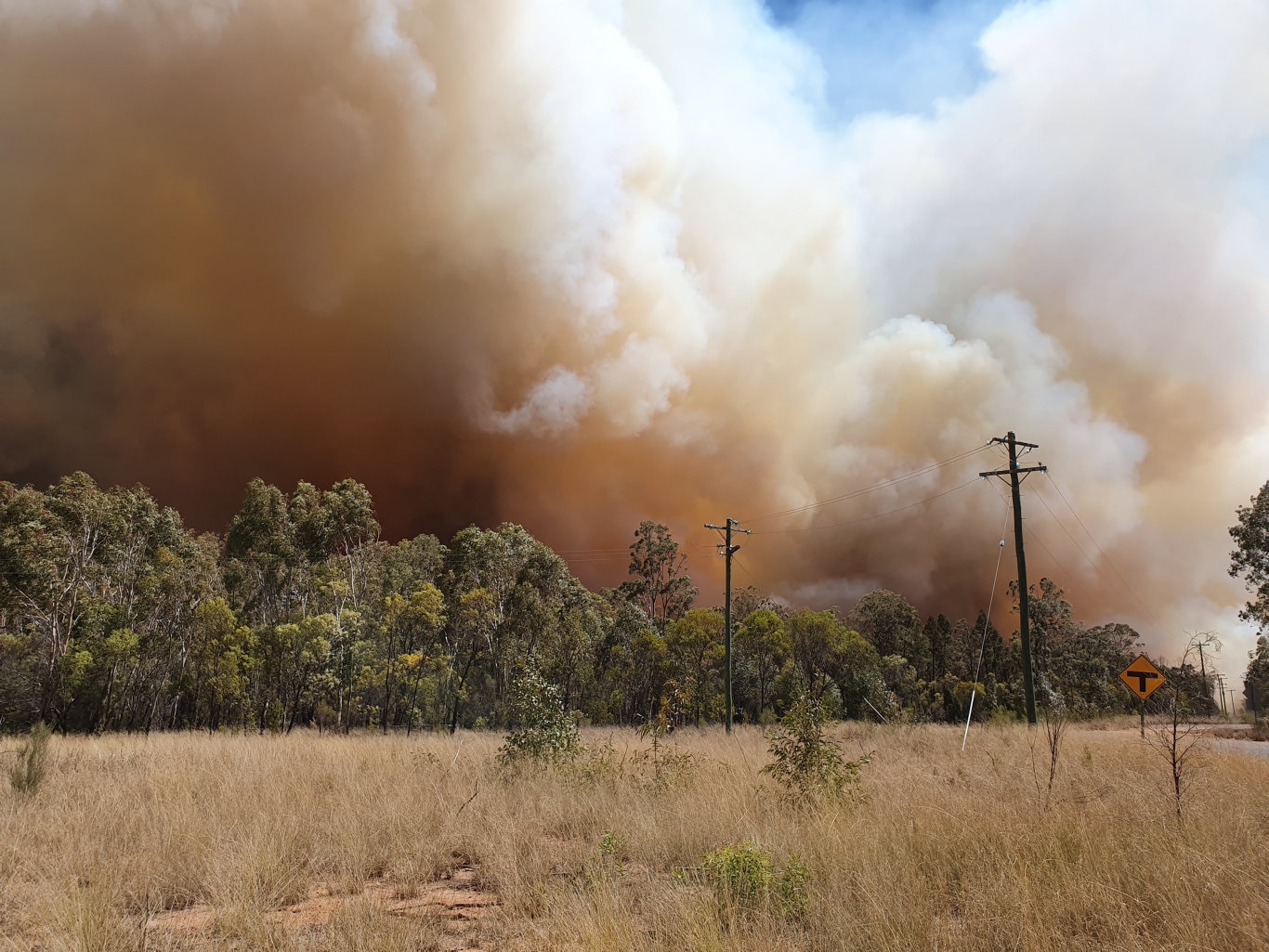 Millmerran Fire Survivors | The Cairns Post