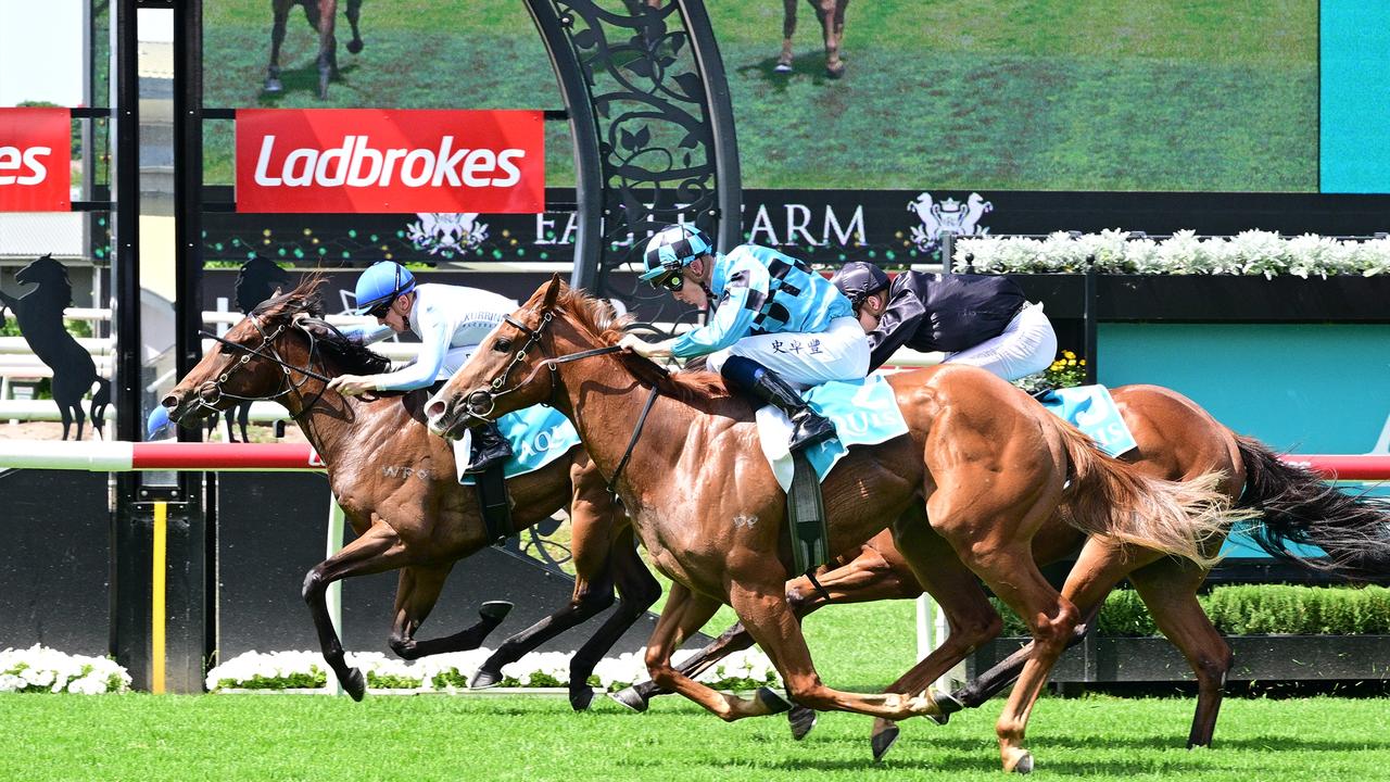 Supplied Editorial Malaboom holds off the fast finishing Empress Of Wonder to score at
  Eagle Farm. Picture credit: Natasha Wood, Trackside Photography
