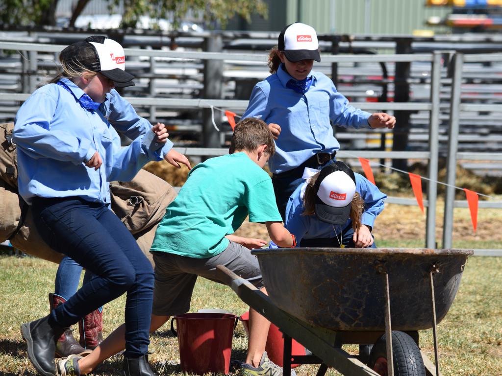 Field days Australian field days previews and reports The Weekly Times