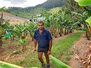 PLANS IN DISARRAY: Paul Shoker's farm is off Gatelys Road where a large cutting is proposed for the Coffs Harbour Bypass. Picture: TREVOR VEALE