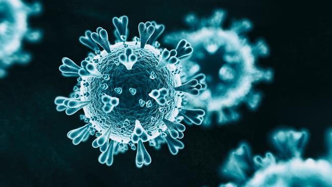 To have any hope of conquering coronavirus, everyone must play a part. Picture: iStock