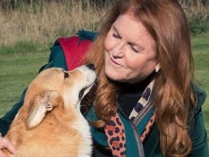 Sarah Ferguson now cares for Her Majesy's beloved corgis.