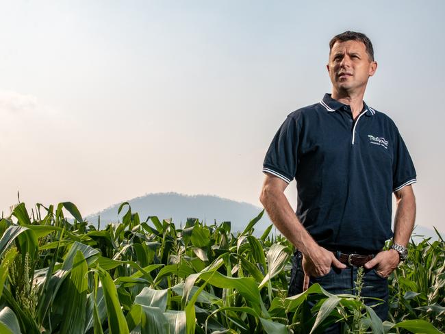 Mulgowie Farming Company CEO Fabian Carniel.