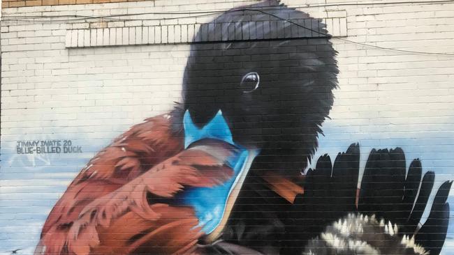 The blue-billed duck, which calls Lake Knox home, features in the new mural. Picture: First Friends of Dandenong Creek Facebook page