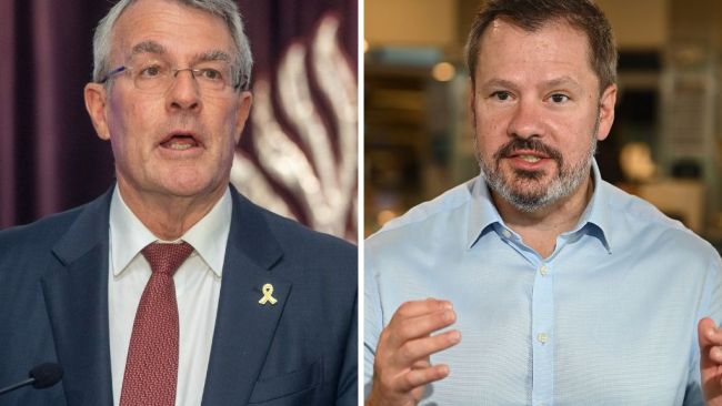 Husic, Dreyfus in firing line as Albanese plots ministry overhaul
