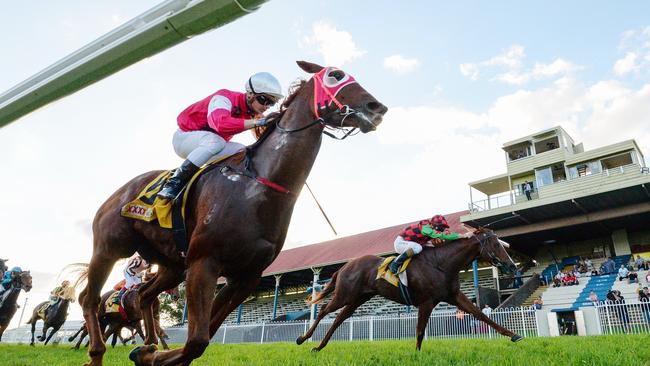 Grafton trainer Wayne Lawson has had little luck since Jockey Anthony Allen guided Dominant Crown to a narrow win at the Clarence River Jockey Club to claim the 2019 Brushgrove Cup.