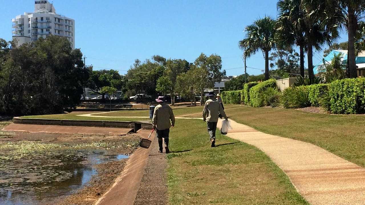 Australia Sidewalk Fish