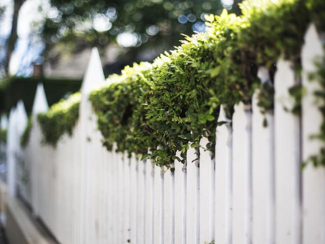 Traditional white picket fence with green hedge behind.