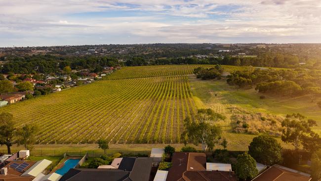 The former Hardy's winery site in Old Reynella, where Tarac Properties is planning a $100m-plus housing development known as Hurtle Grove. Supplied by Tarac Properties