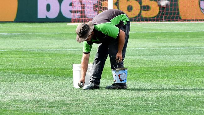 Last minute maintenance is carried out to the pitch at Coopers Stadium.