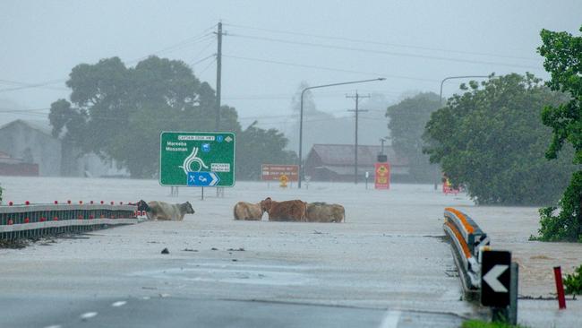 Flooding after Cyclone Jasper on the northern side of Cairns on December 17. Picture: Supplied Cockatours