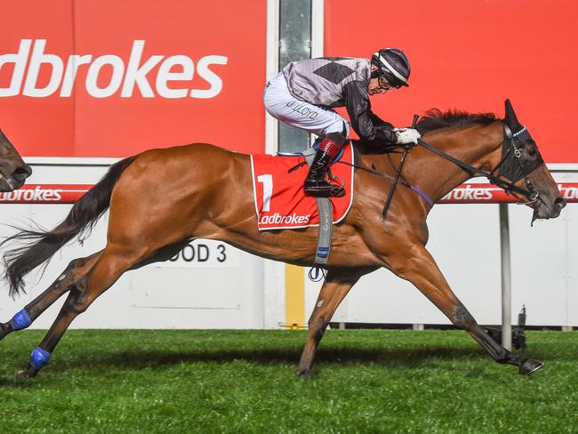 Houtzen ridden by Jeff Lloyd wins the Simpson Construction Scarborough Stakes at Moonee Valley Racecourse on September 29, 2017 in Moonee Ponds, Australia. (Brett Holburt/Racing Photos via Getty Images)