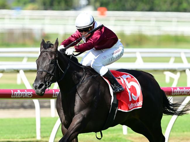 Cejay Graham rides Dream Smart to victory at Doomben, one of her bag of winners. Picture: Grant Peters, Trackside Photography.