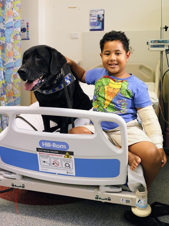 Sick children in the Cairns Hospital over Easter received a special visit from Queensland Police dog squad officer Senior Constable Filipe Peraza and police dog Neo on Thursday, who handed out Easter eggs and lots of pats. Police dog Neo brings some holiday joy to River-Jay Tuimauga, 5, in hospital for an operation. Picture: Brendan Radke