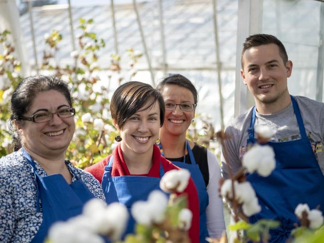 Dr Madeline Mitchell (centre, red jumper), of CSIRO’s cotton research team said it was looking at growing a cotton fibre with the characteristics of a synthetic. Picture: CSIRO