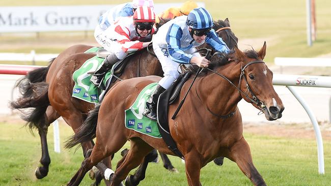 General Custer looks a standout at Morphettville on Saturday. Picture: Slickpix