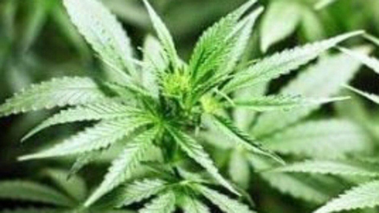 The man, aged 33 to 36, also sold about 22.6 kilograms of marijuana to C in Mackay.