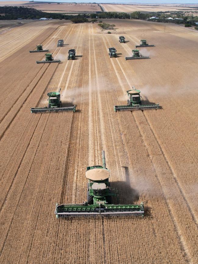 Daybreak Cropping harvesting wheat for Mingenew Primary School. Picture: Paul Flanders