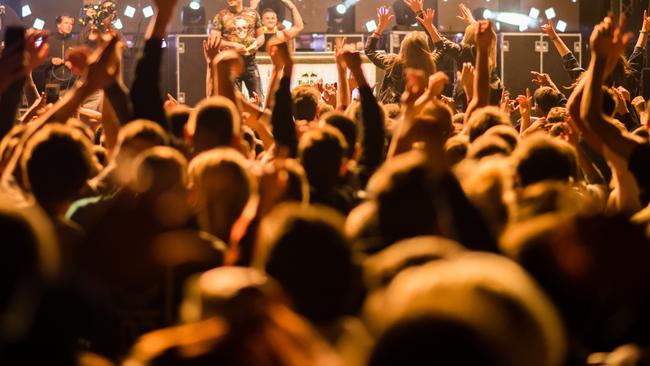 Revellers at a concert.