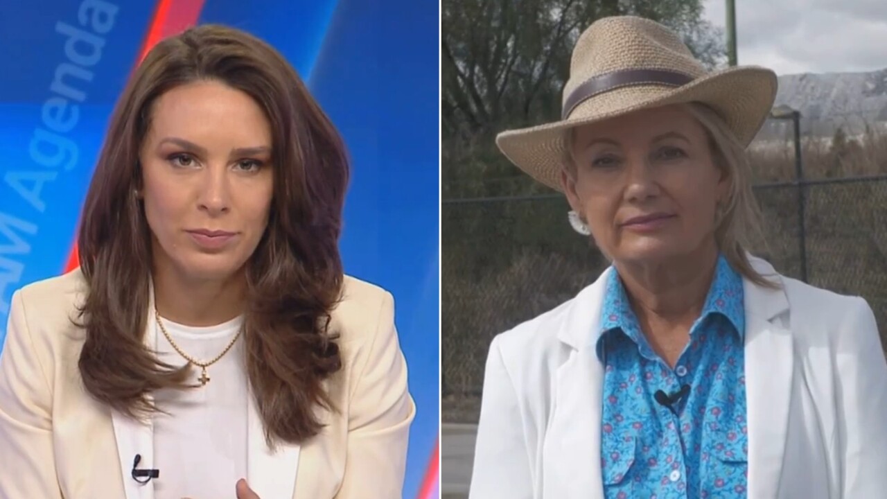 ‘Not clear at all’: Sky News host clashes with Sussan Ley over Coalition’s net zero pathway