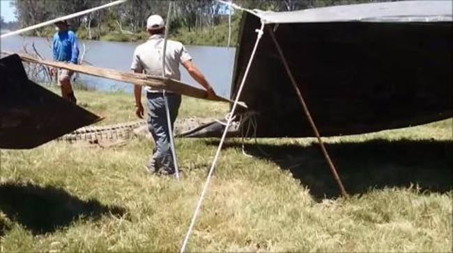 Rangers with 3.8m croc caught in Mary River