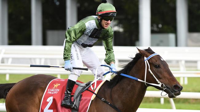 Top stayer Incentivise can extend his winning streak to nine with victory in the Melbourne Cup. Picture: Getty Images