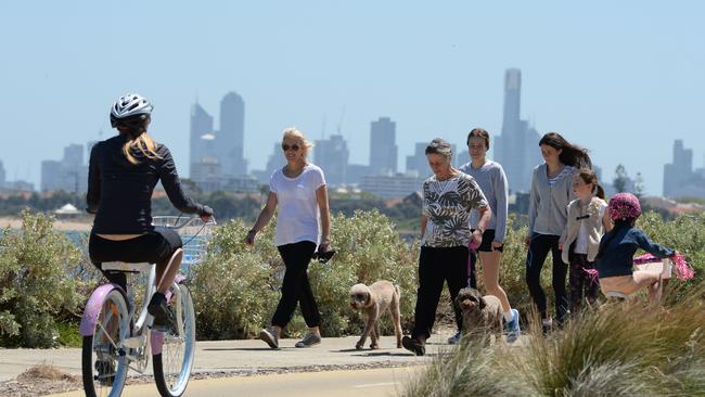 Melbourne Cup Day cyclists near North Road enjoying a perfect  sunny day by the bay.