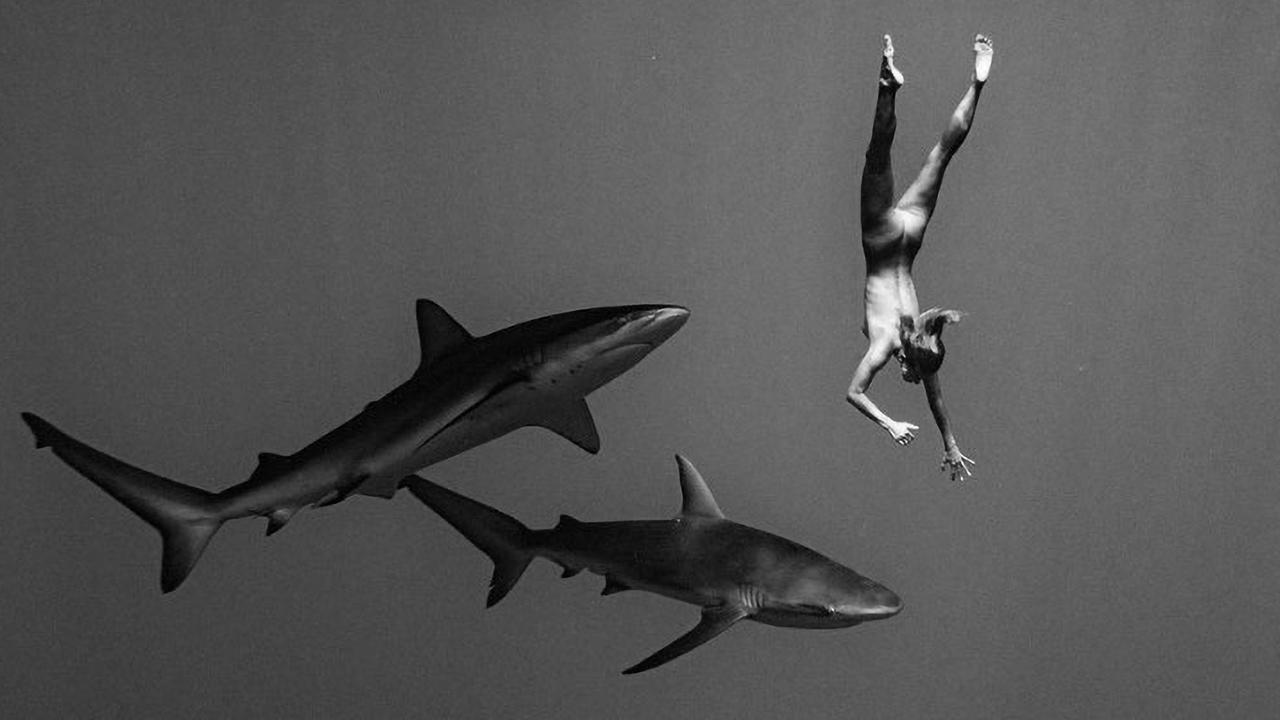 Playboy Model Marisa Papen Dives Naked With Sharks In Hawaii News Com Au Australias Leading