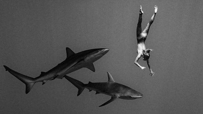 Model Marisa Papen swimming naked with sharks. Picture: Benjamin Ono/Real Press/australscope