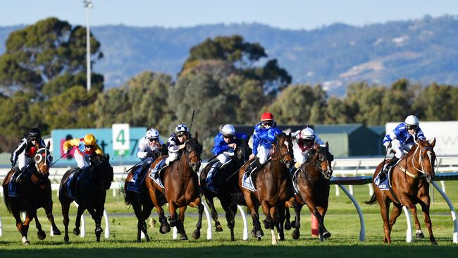 Trekking wins the 2020 Goodwood.