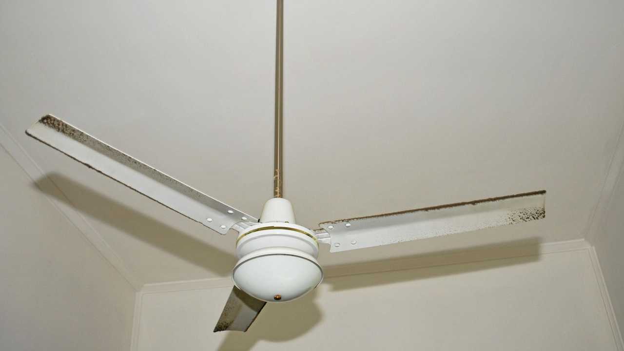 F.A.Q Are ceiling fans dangerous?