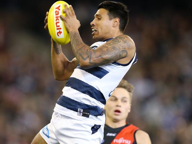 Tim Kelly had a brilliant first season at the Cats. Picture: Michael Klein