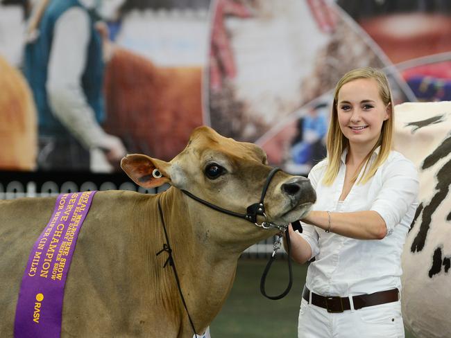 Royal Melbourne Show Dairy Cattle Competition | The Weekly Times