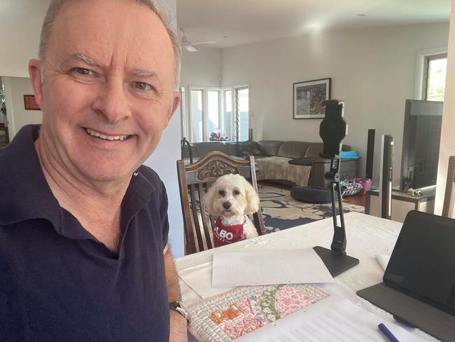 Opposition leader Anthony Albanese at home in Covid-19 isolation. The latest Newspoll shows Labor is the preferred party. Picture: Facebook