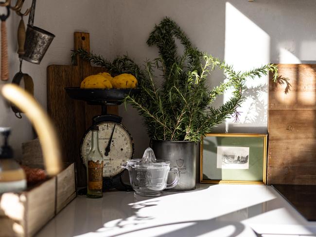 The Binney sun-lit modern kitchen also features some gorgeous vintage collectibles. Picture: Dearna Bond