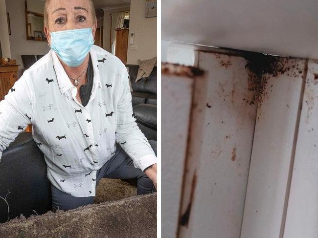 Mould, roaches, faeces: Inside Tassie’s housing hellholes