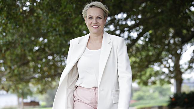 Labor frontbencher Tanya Plibersek at Gladstone Park in Balmain, Sydney. Picture: Adam Yip