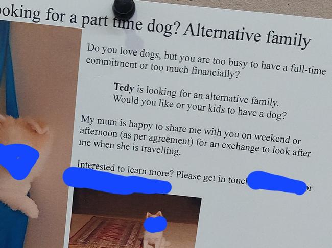 An ambitious dog owner has raised eyebrows with a creative ad proposal that would allow them ongoing free dog sitting.