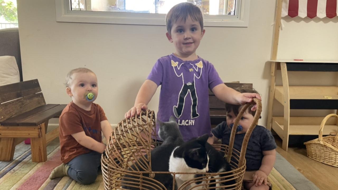 RSPCA volunteers and kittens visit Rosemont Cottage in Toowoomba to teach kids about how to care for animals.