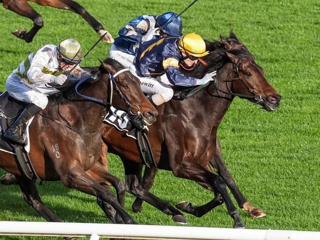 Arkansaw Kid ridden by Craig Newitt wins the HKJC World Pool Bobbie Lewis Quality at Flemington Racecourse on September 14, 2024 in Flemington, Australia. (Photo by Jay Town/Racing Photos via Getty Images)